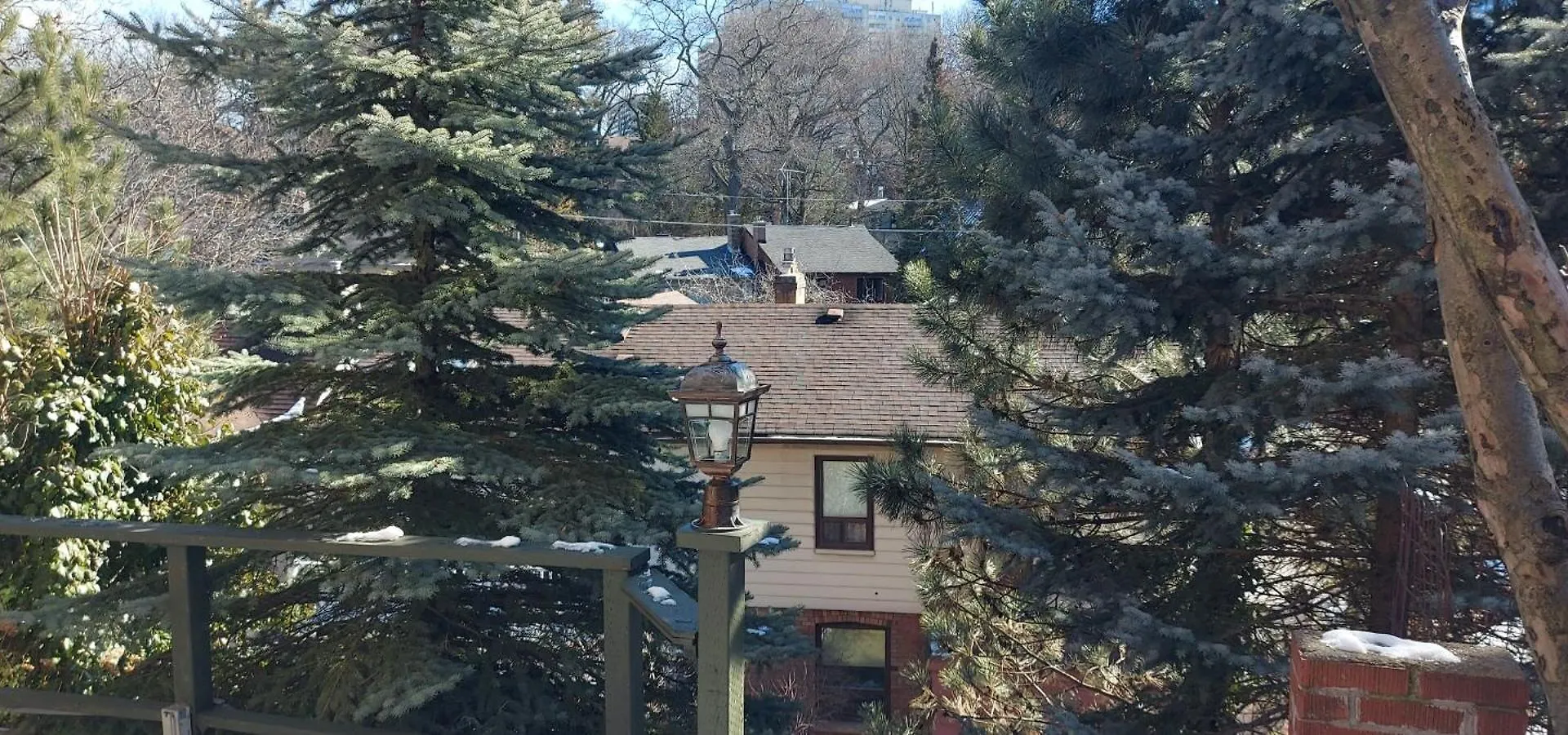 High Park Single Room With Personal Washroom And Kitchen Toronto